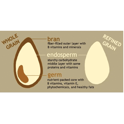 WHAT ARE WHOLE GRAINS ANY WAY?